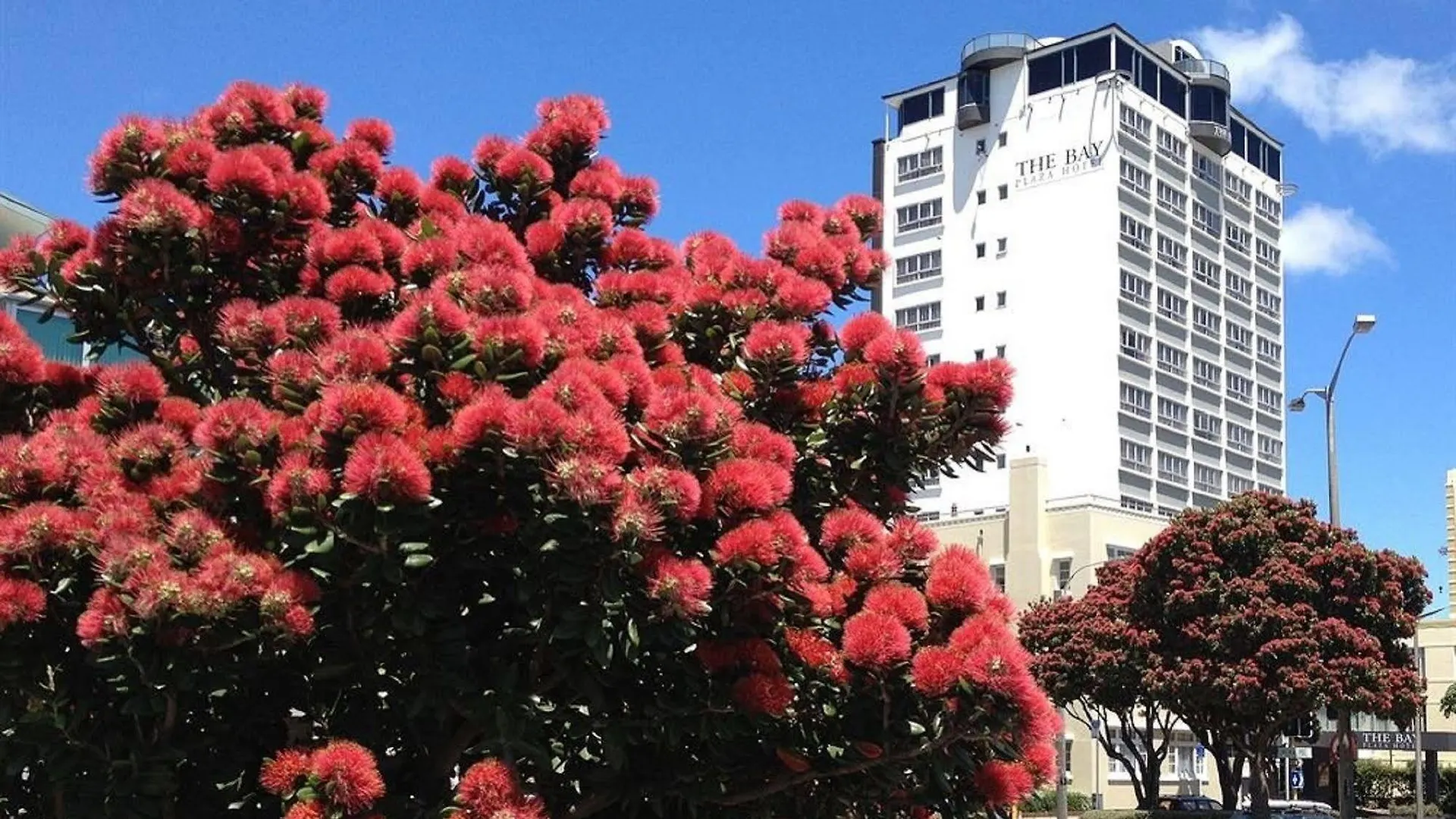 Bay Plaza Hotel Wellington 3*,
